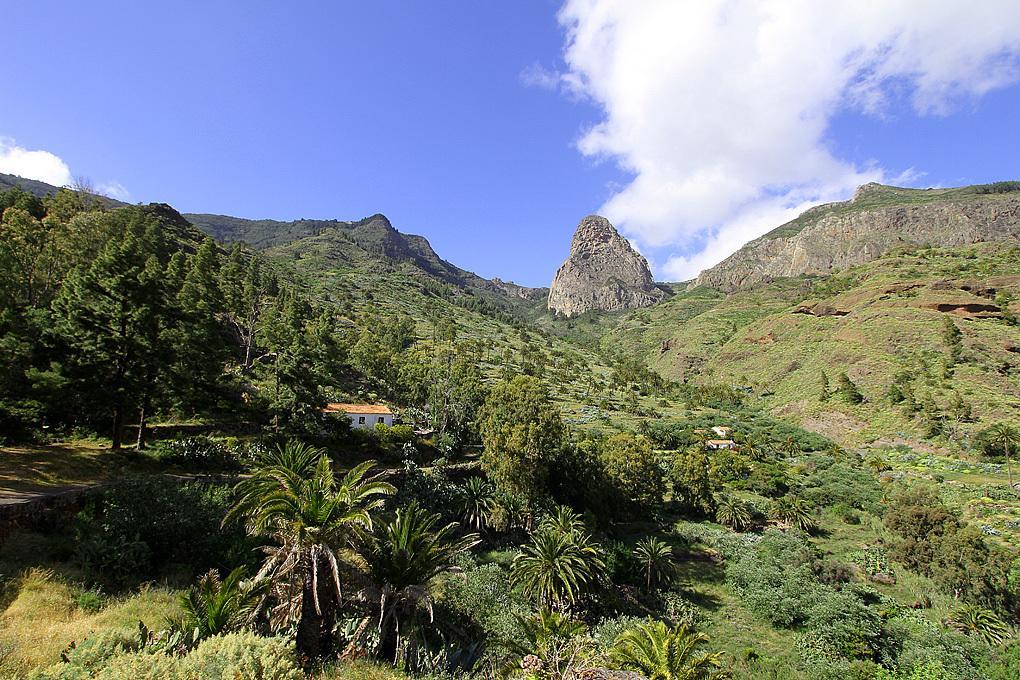 Pension Candelaria Valle Gran Rey Eksteriør bilde